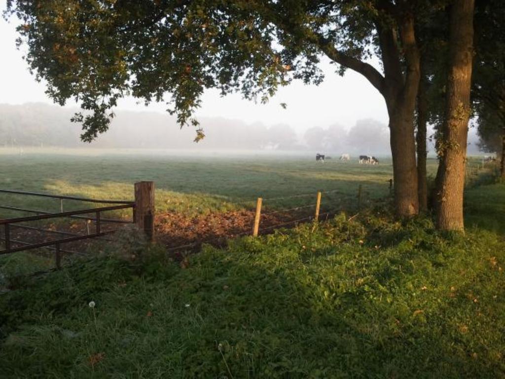 B&B 1874 Sleen Buitenkant foto